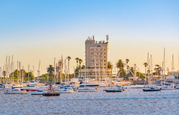 乌拉圭海关数据查询平台（附免费试用查询名额)